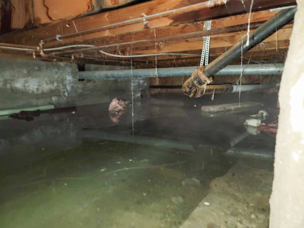 Water damage restoration insurance claims in WI