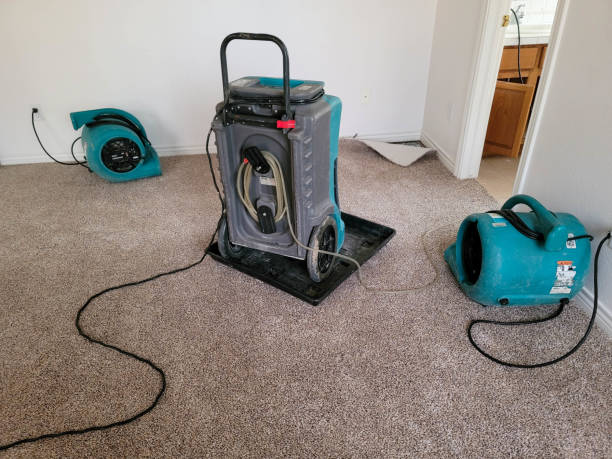 Best Water damage cleanup near me  in Milwaukee, WI