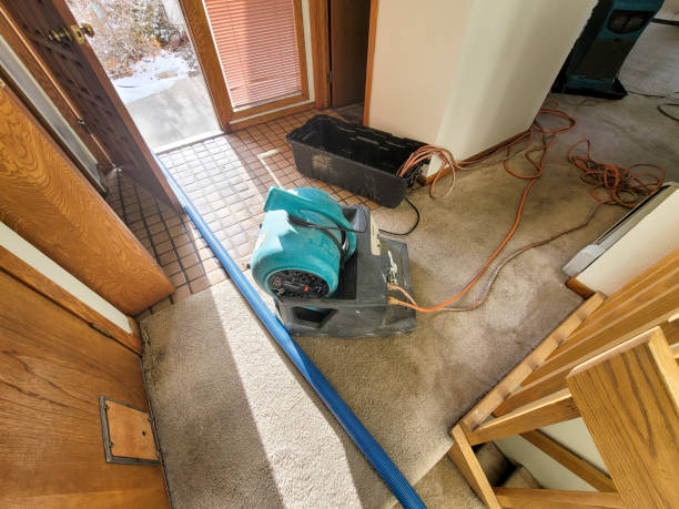 Best Water damage restoration near me  in Milwaukee, WI