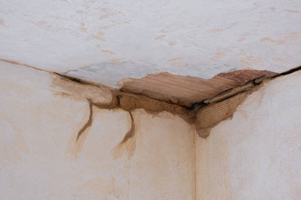 Best Ceiling water damage repair  in Milwaukee, WI